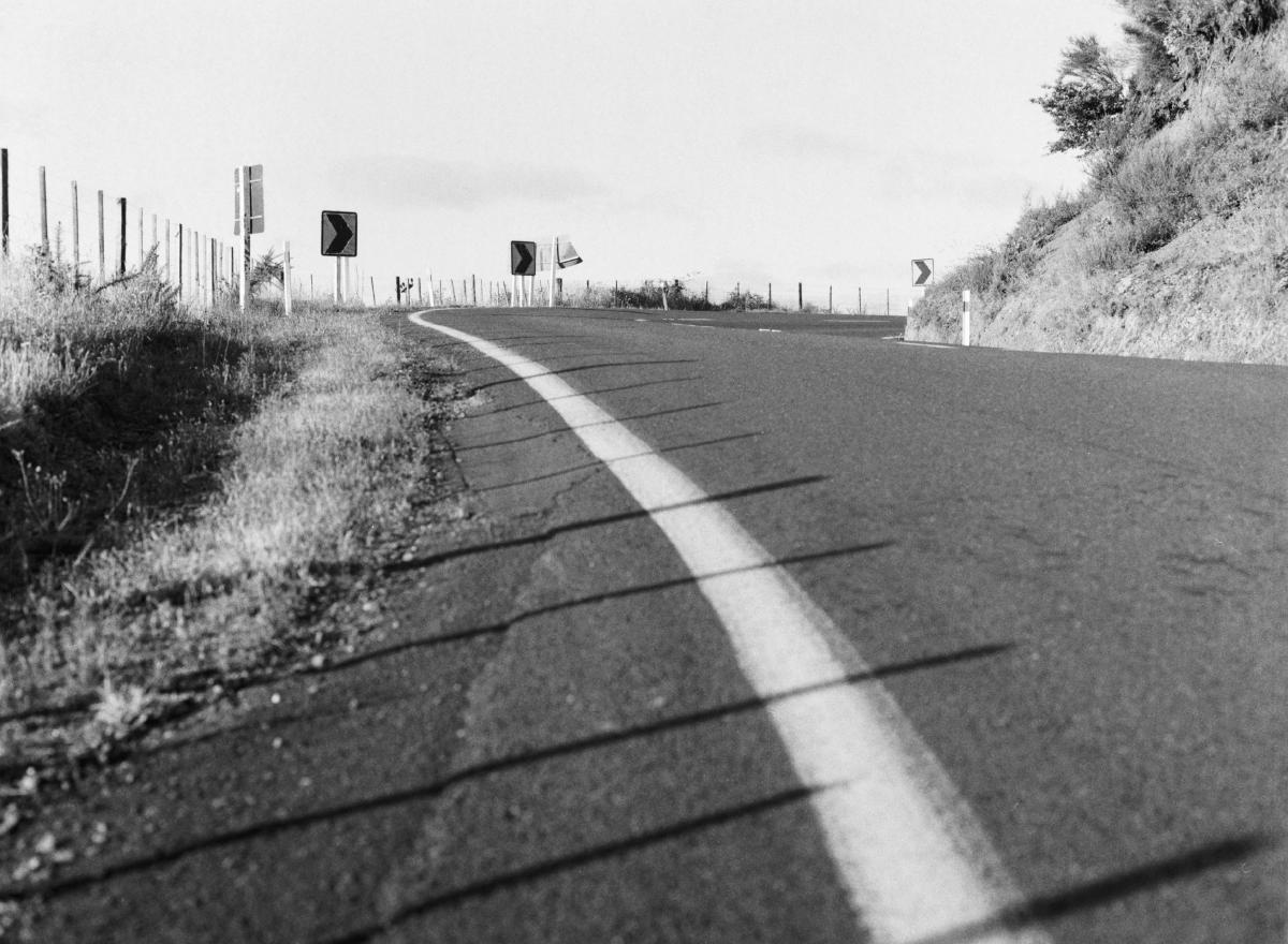 IMG 3442.JPG
