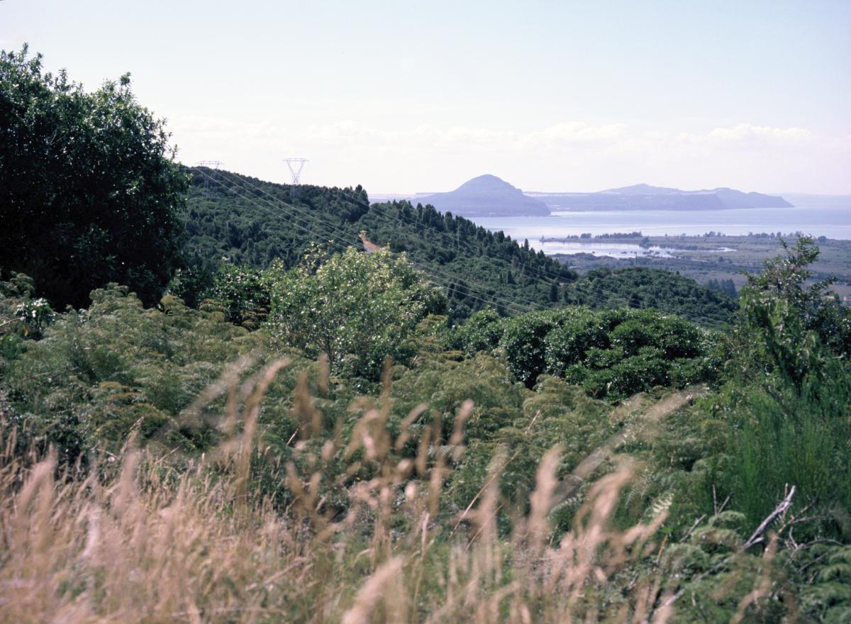 IMG 3456.jpg