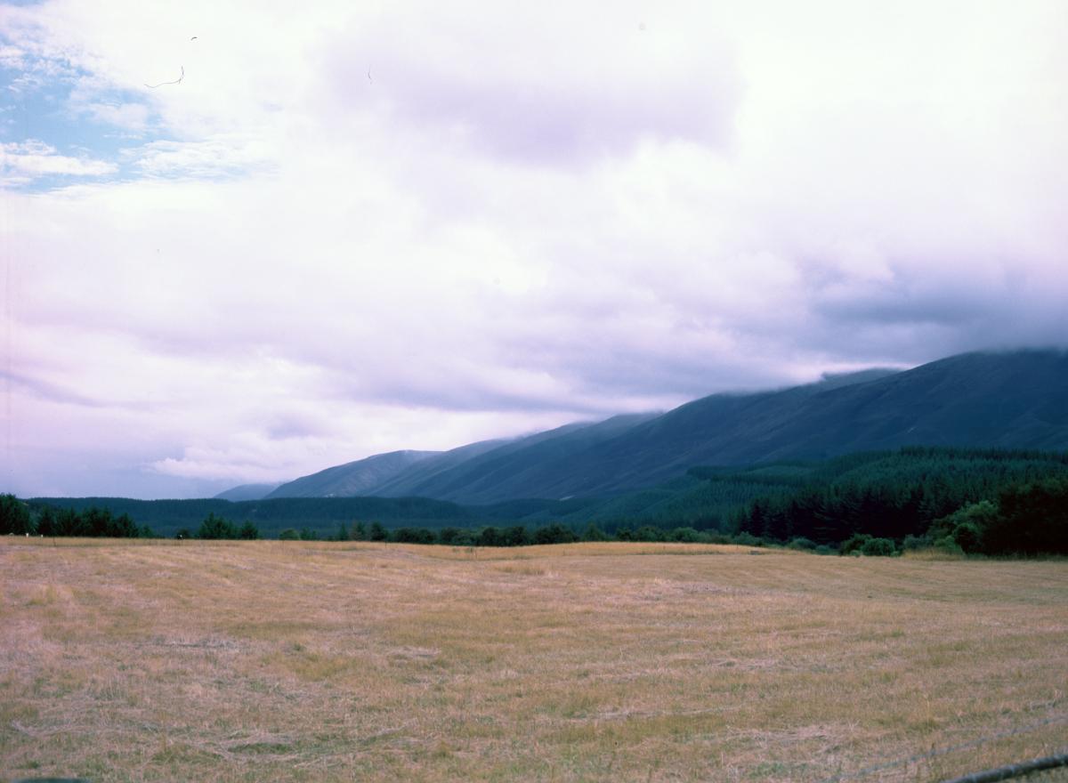 IMG 3457.JPG
