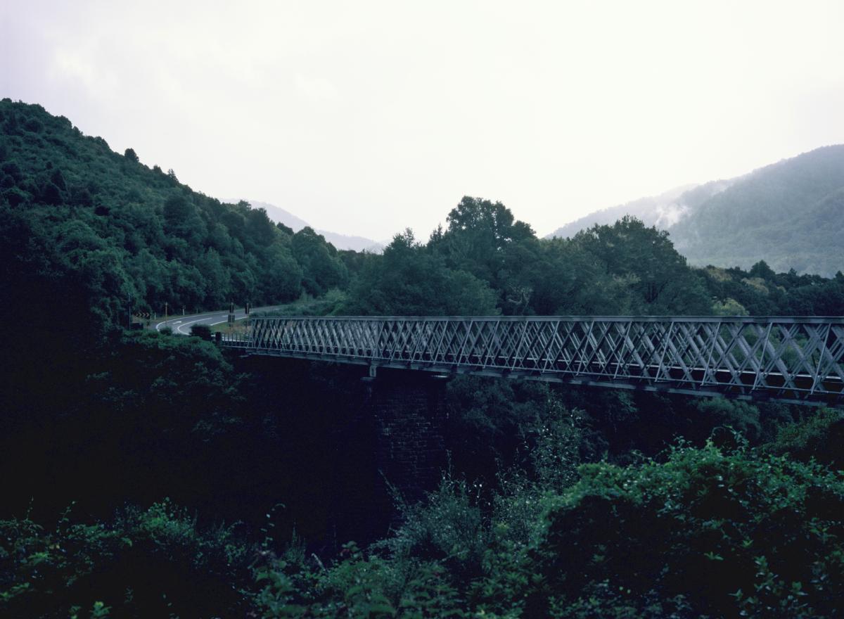 IMG 3467.JPG