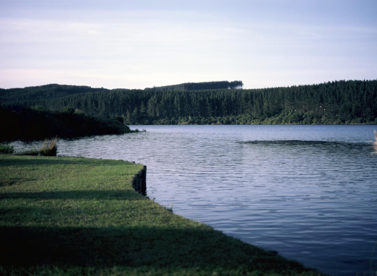 IMG 3477.jpg