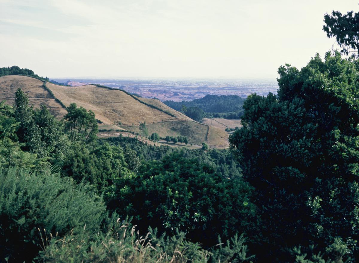 IMG 3484.JPG