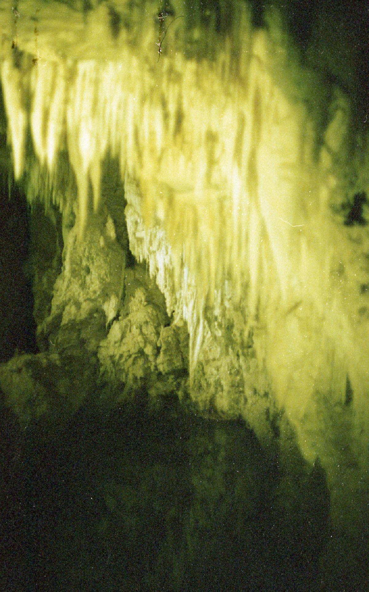 Img252.jpg