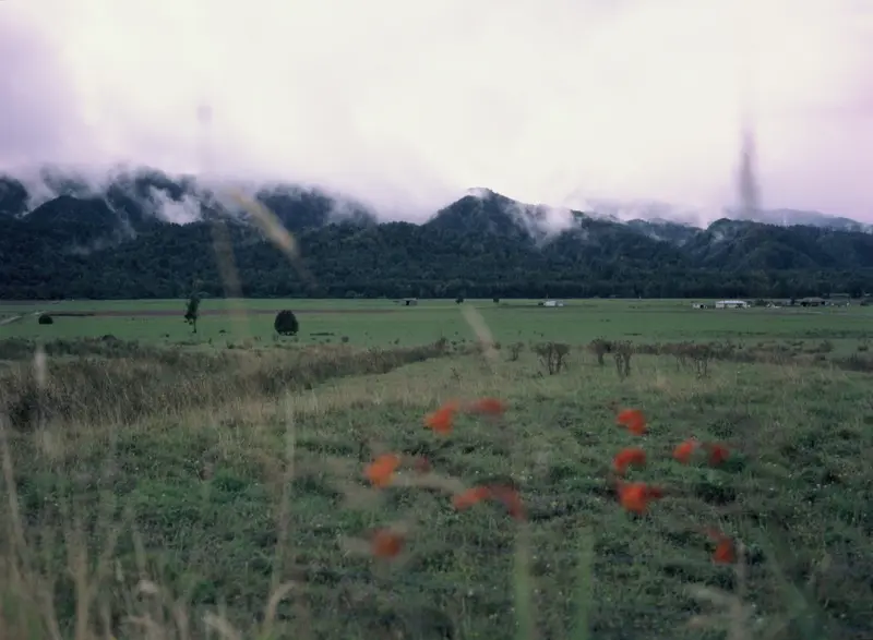 An analog photography of New Zealand