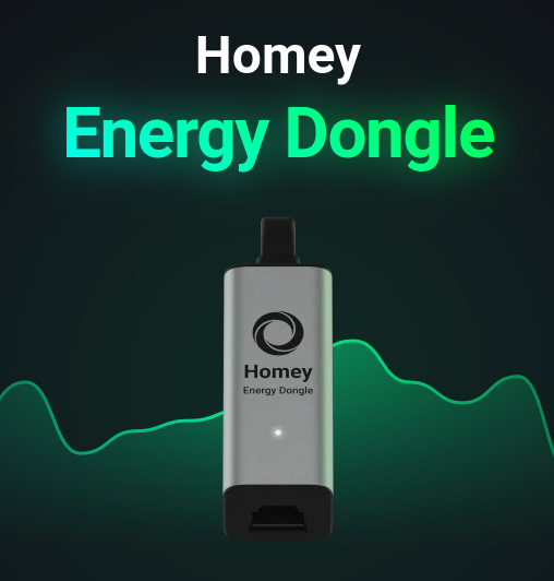 Homey Energy Dongle