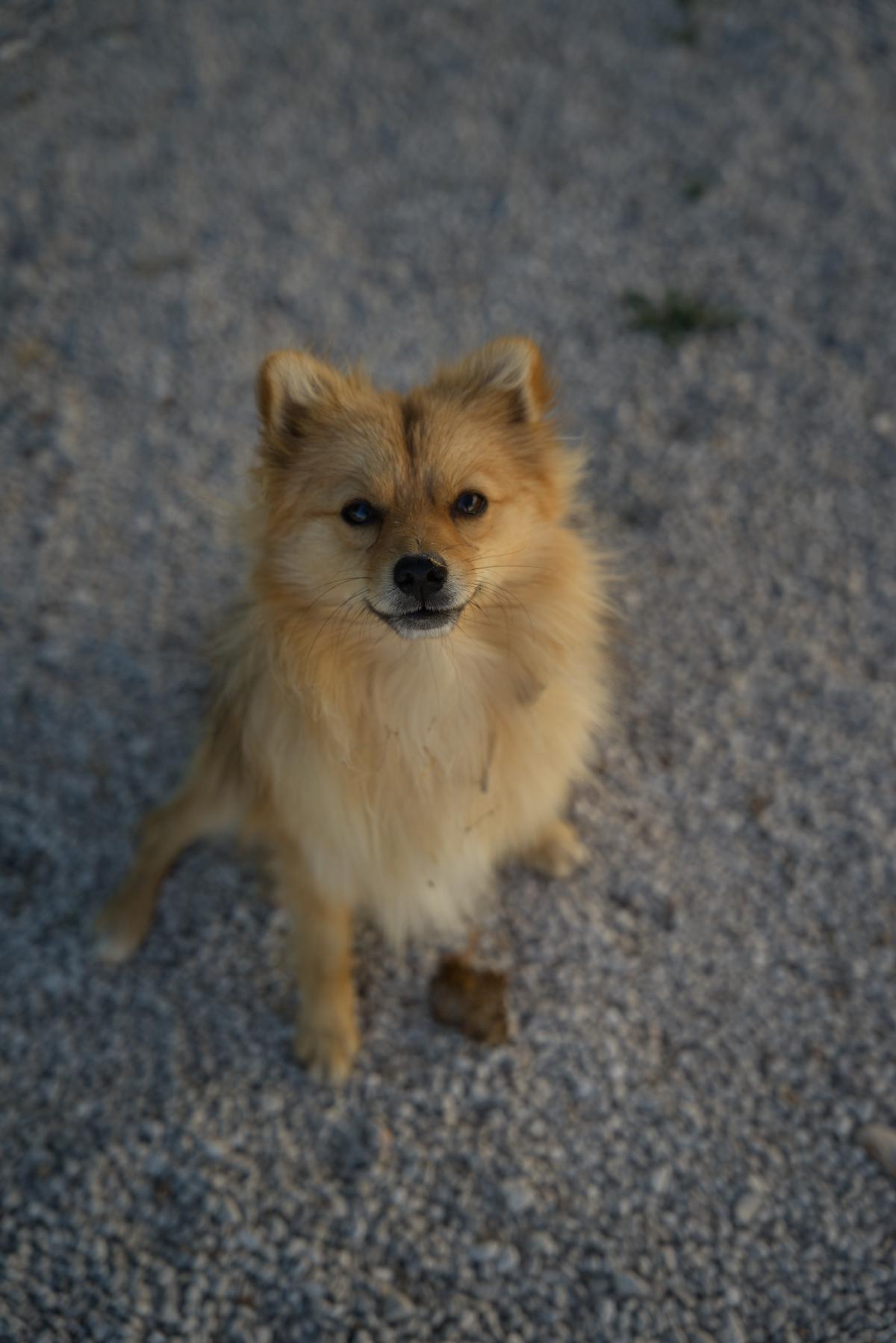 DSC09373.jpg