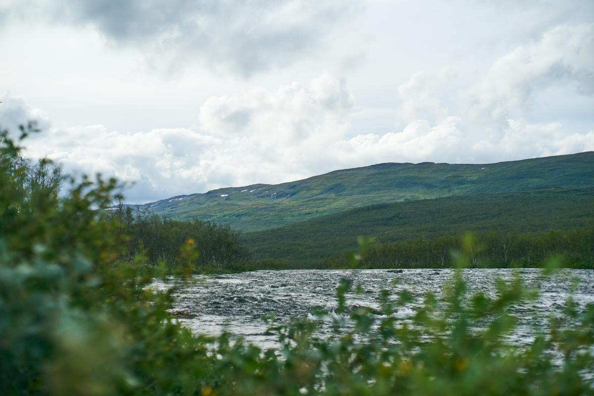 Kungsleden 2022 DSC5592.jpg