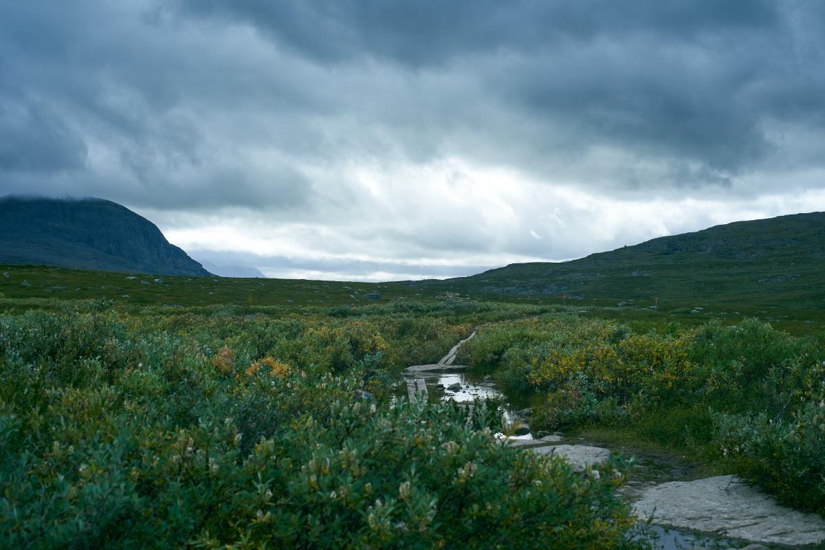 Kungsleden 2022 DSC5613.jpg