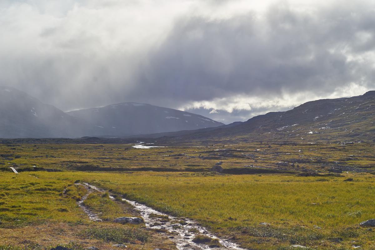 Kungsleden 2022 DSC5619.jpg