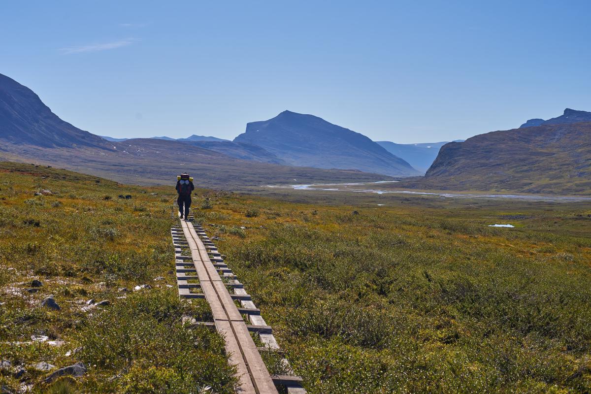Kungsleden 2022 DSC5649.jpg