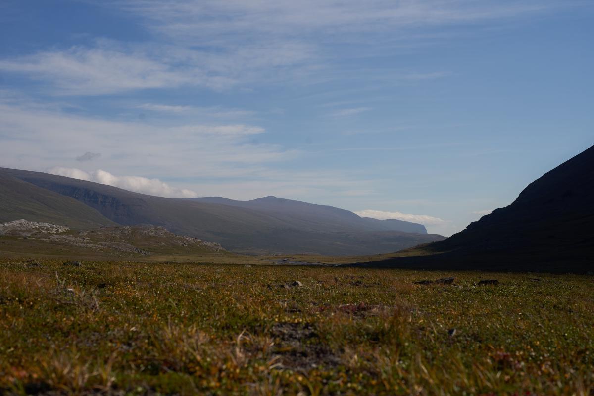 Kungsleden 2022 DSC5668.jpg