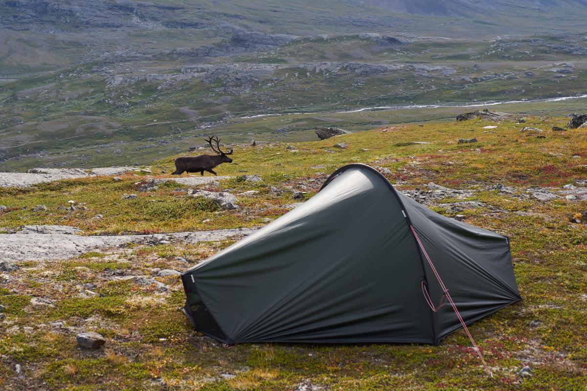 Kungsleden 2022 DSC5672.jpg