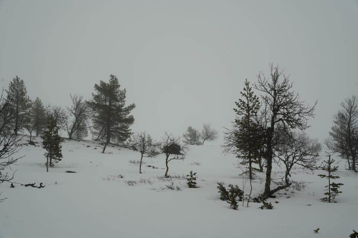 DSC07157.jpg