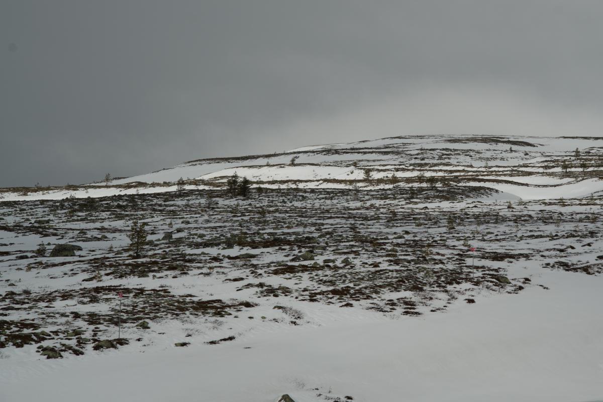 DSC07162.jpg