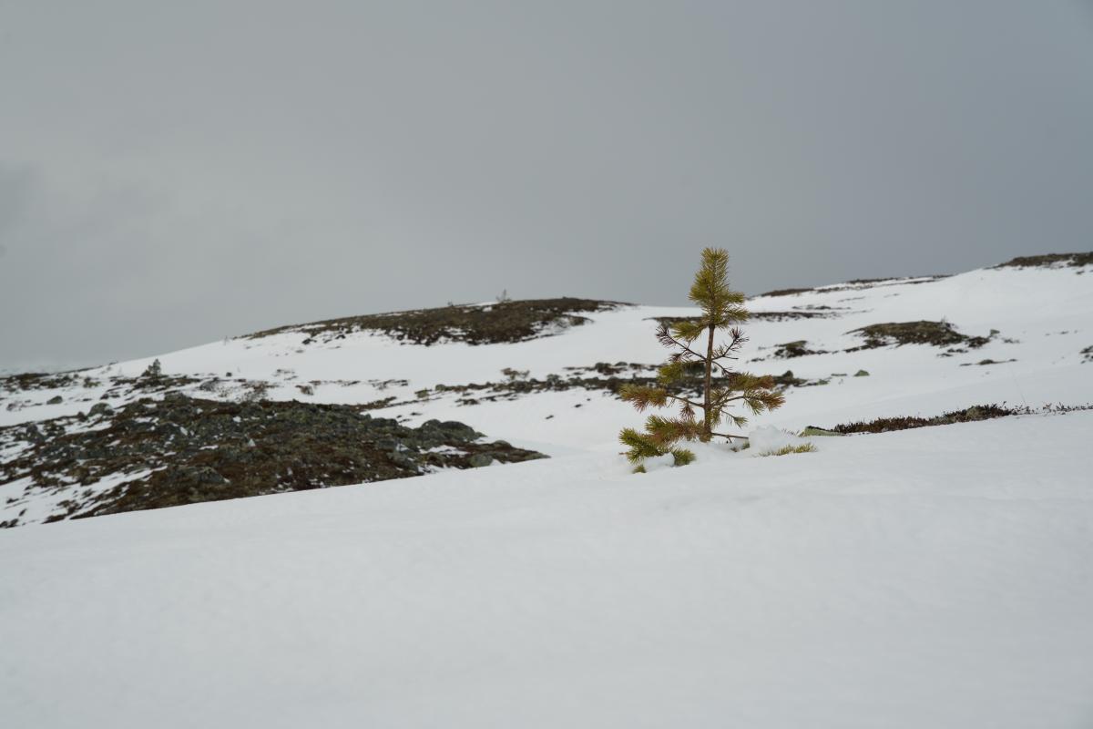 DSC07175.jpg