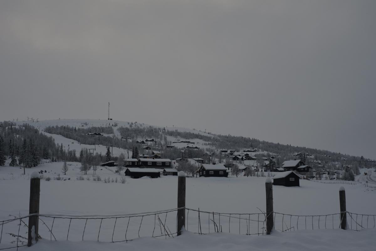  DSC8151.JPG