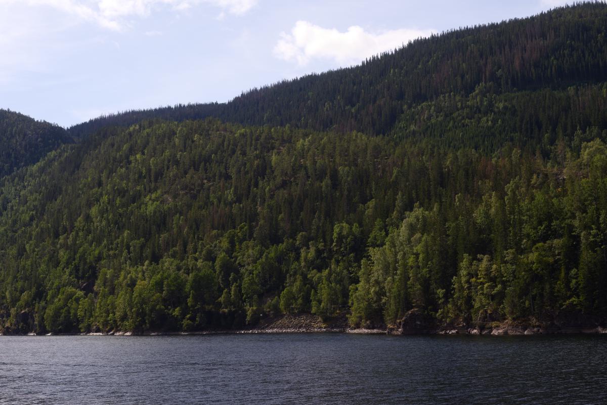  DSC8957.jpg