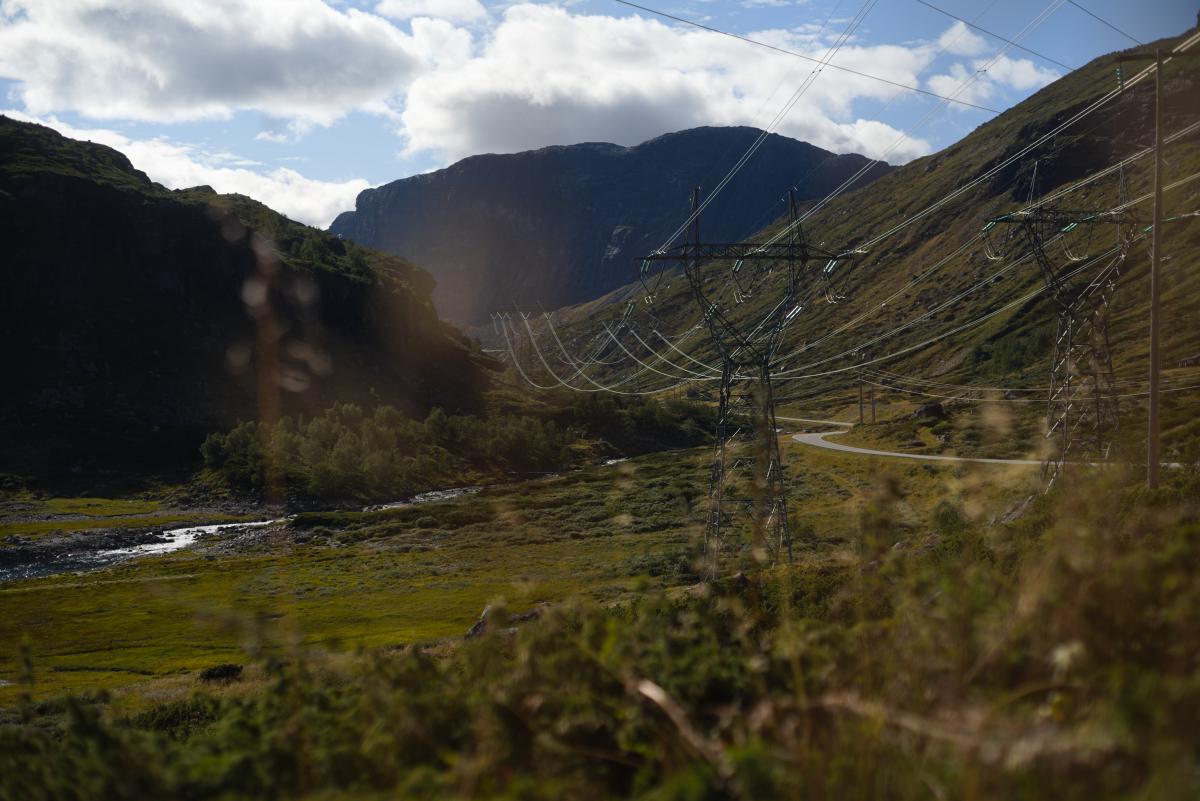  DSC8990.jpg