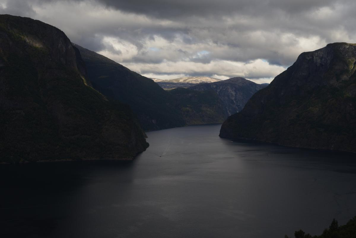  DSC9036.jpg