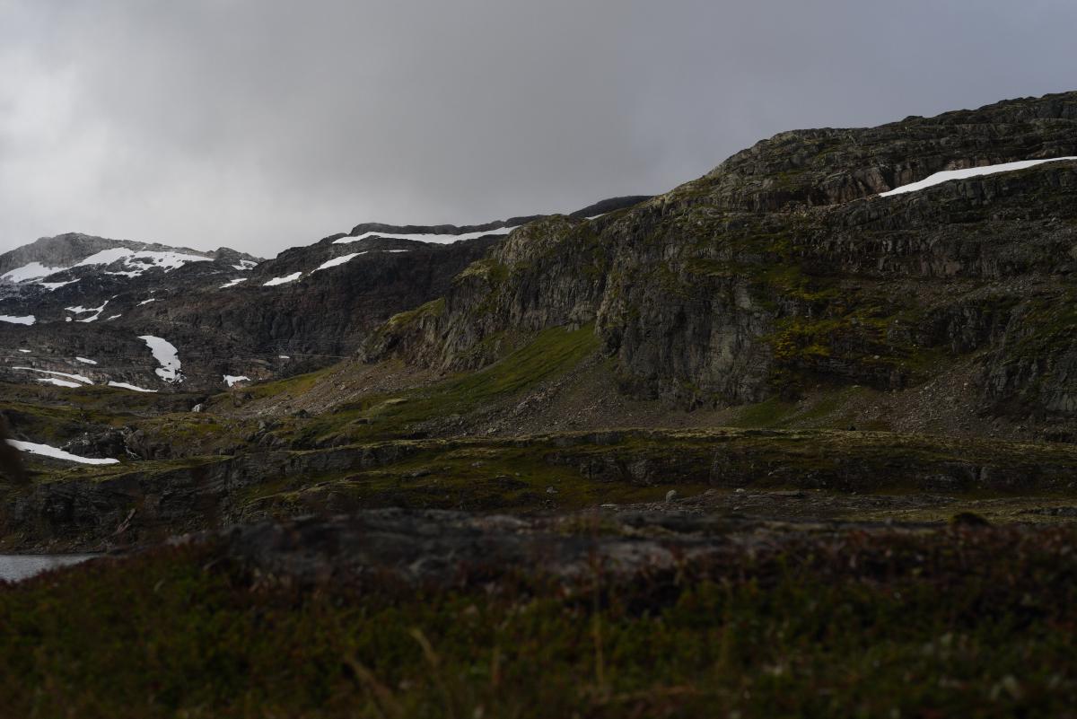  DSC9044 1.jpg