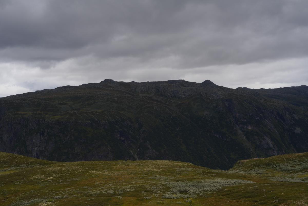  DSC9077.jpg