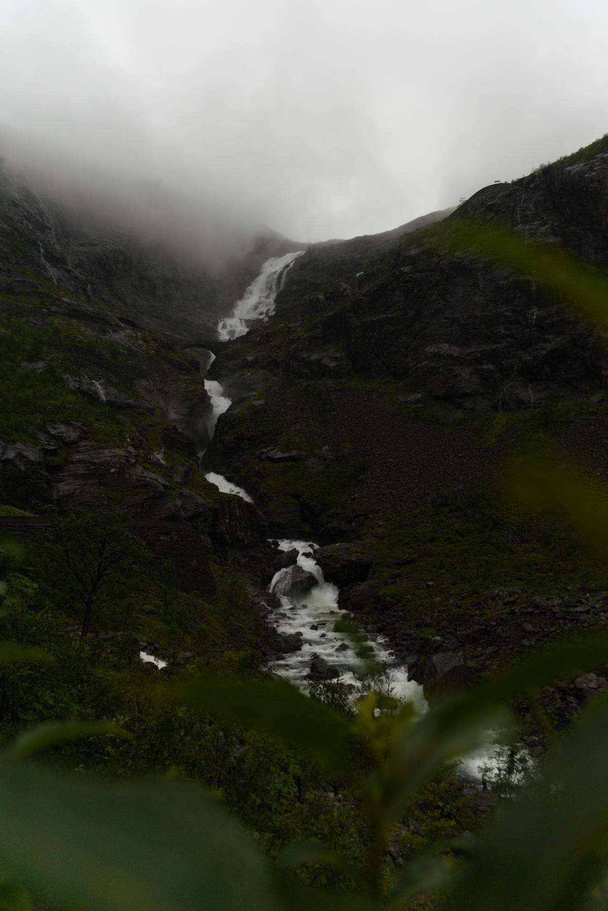  DSC9146.jpg