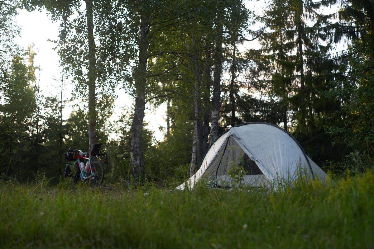 Treriksroset Smygehuk 23 07 18 21 51 46.jpg