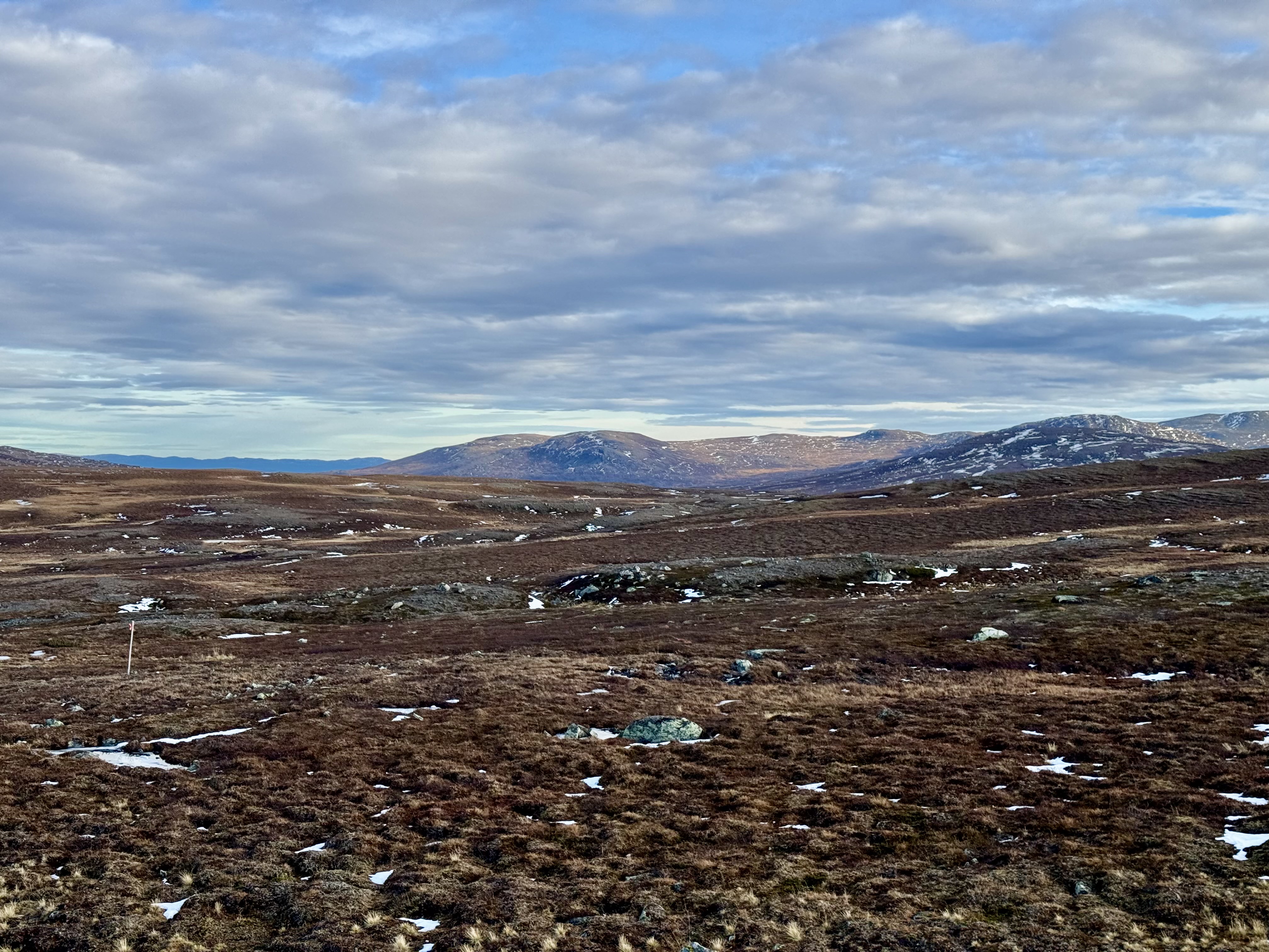 A view of the tundra and mountains