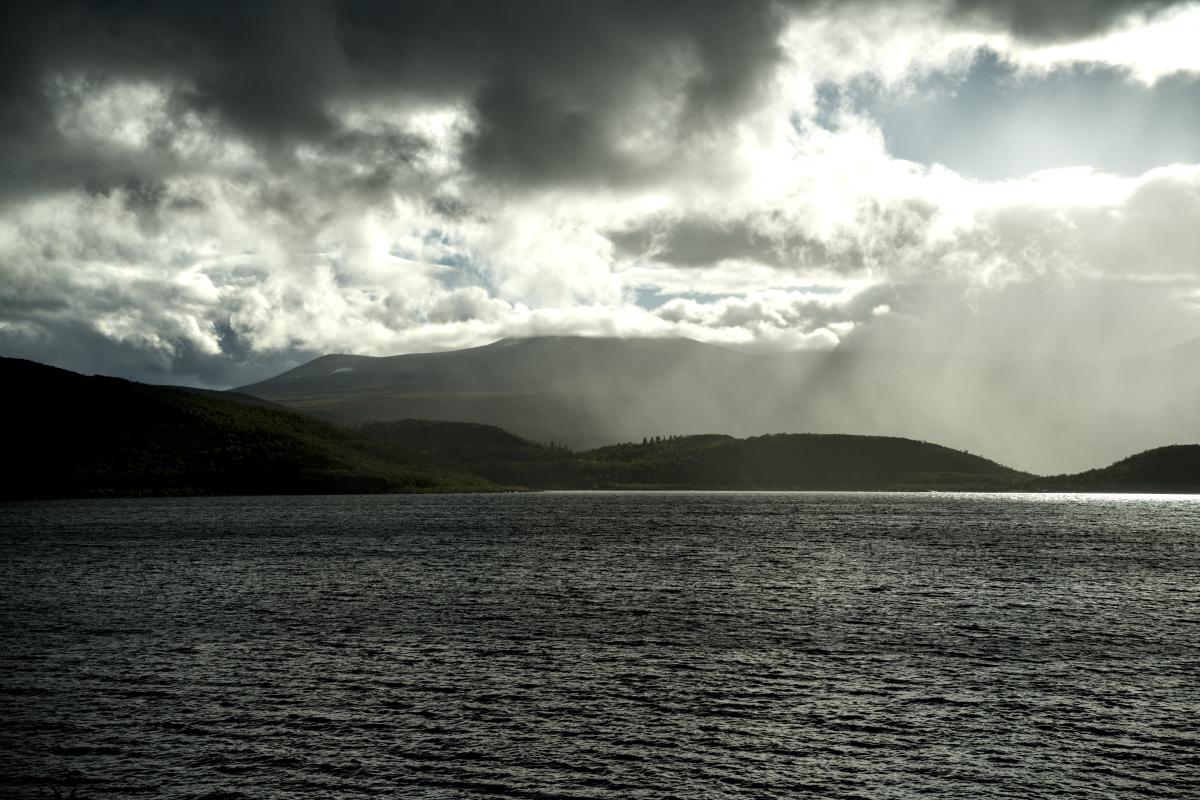 DSC07644.jpg