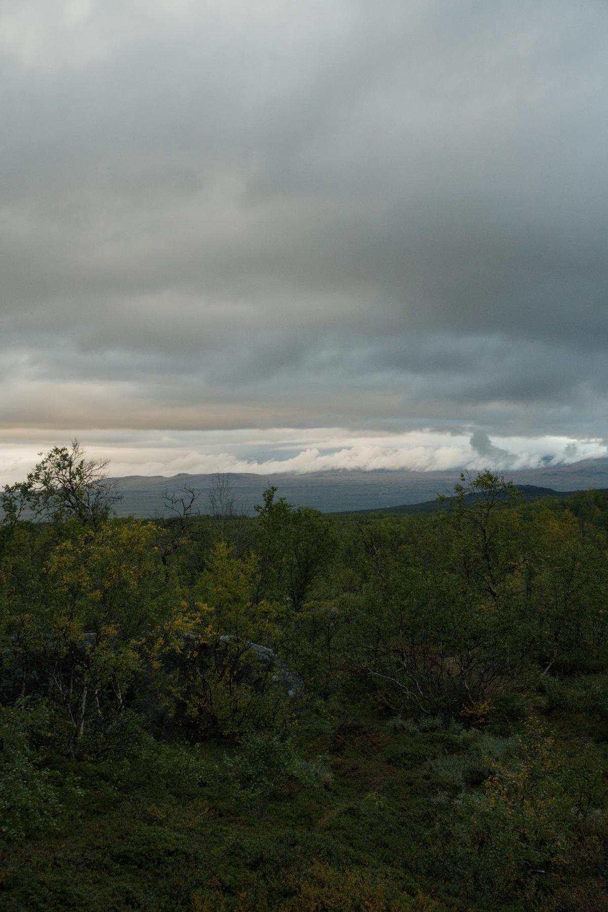 DSC07659.jpg
