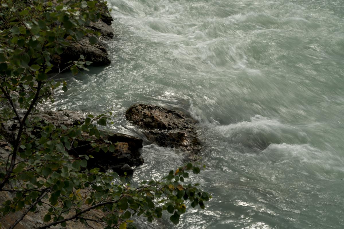 DSC07775.jpg