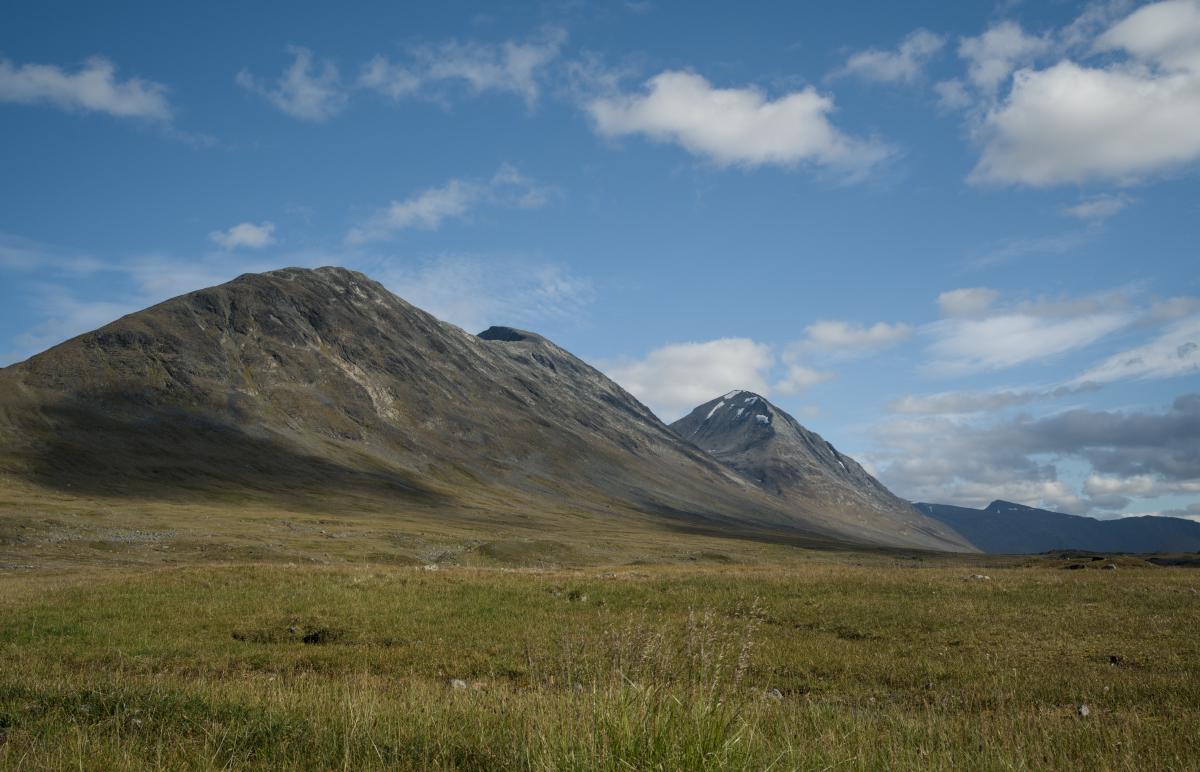 DSC07895.jpg