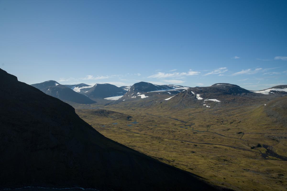 DSC08115.jpg