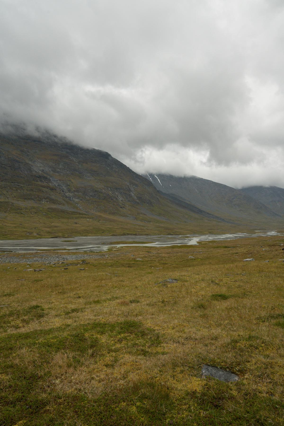 DSC08172.jpg