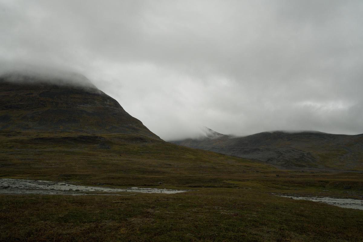 DSC08181.jpg