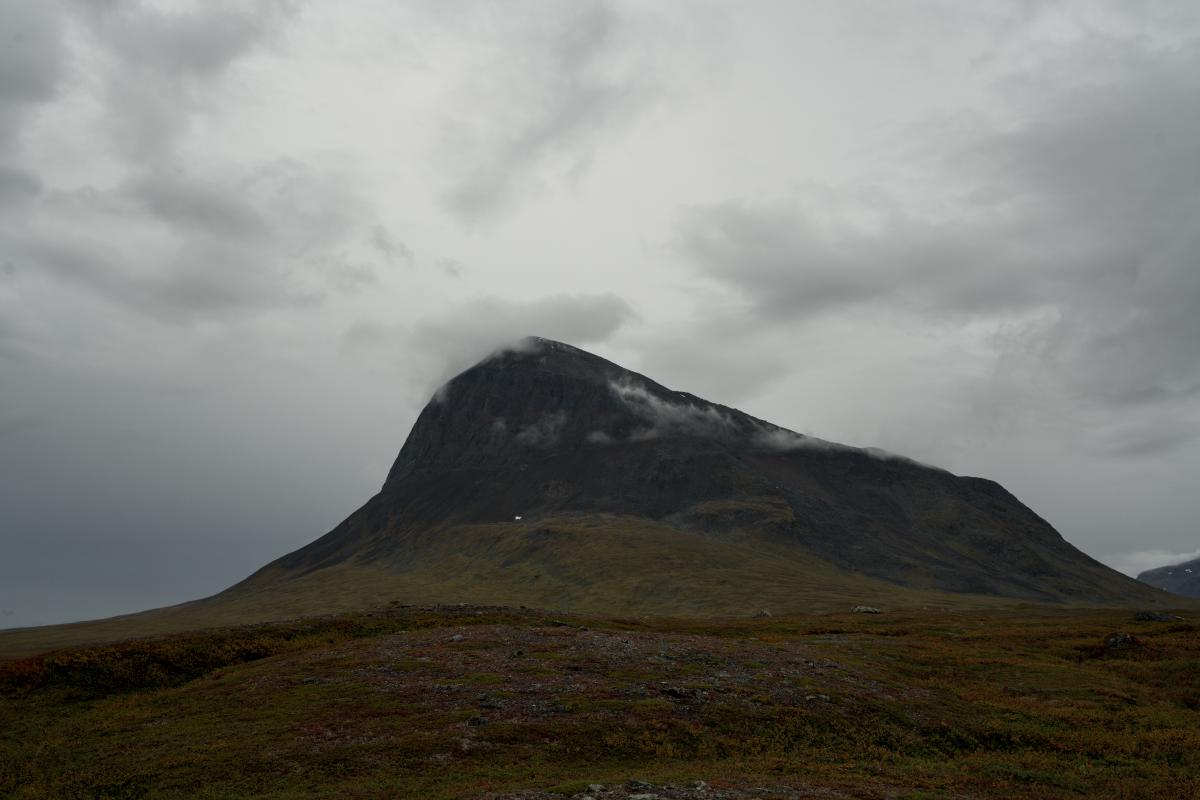 DSC08186.jpg
