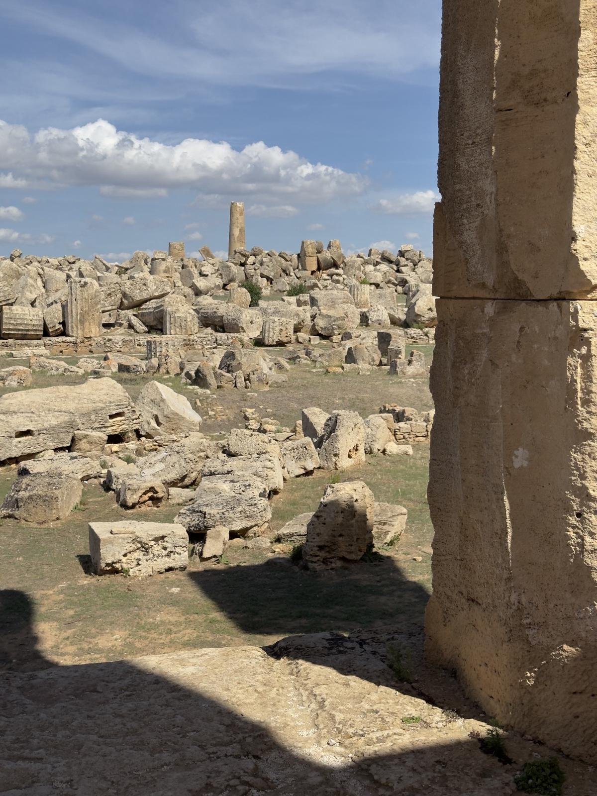 IMG 0274.jpg