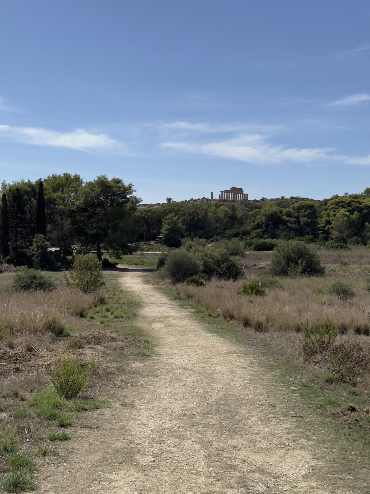 IMG 0307.jpg