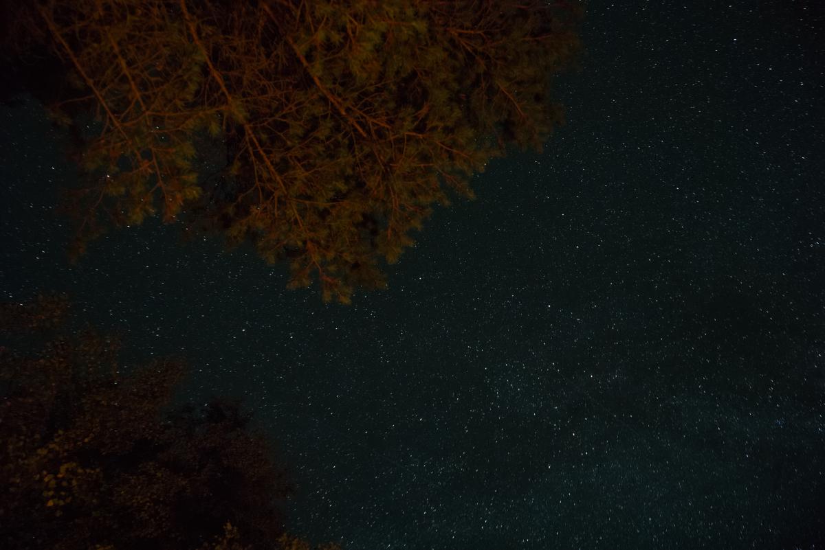 DSC09564 1.jpg