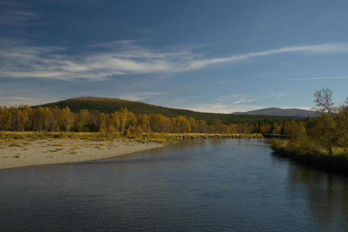 DSC09574.jpg