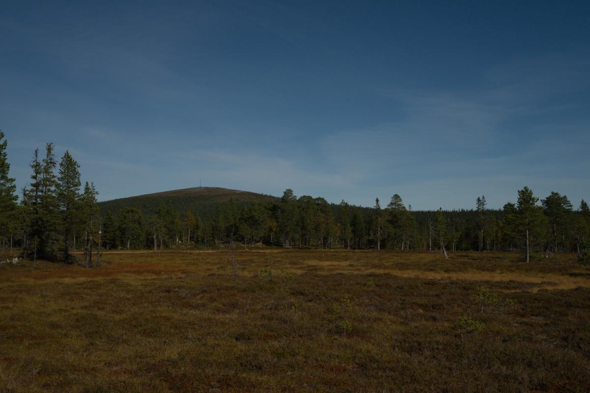 DSC09604.jpg
