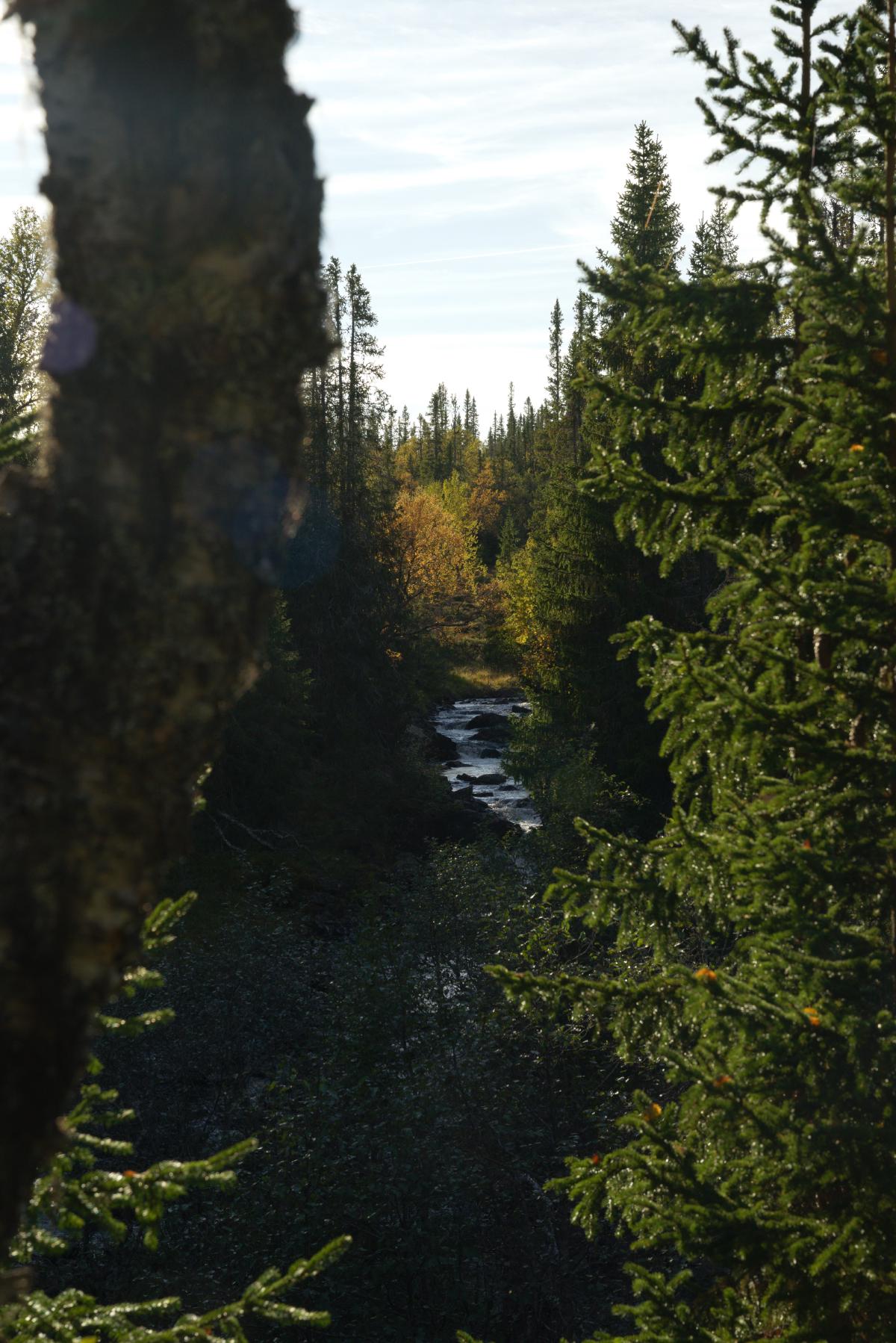 DSC09611.jpg