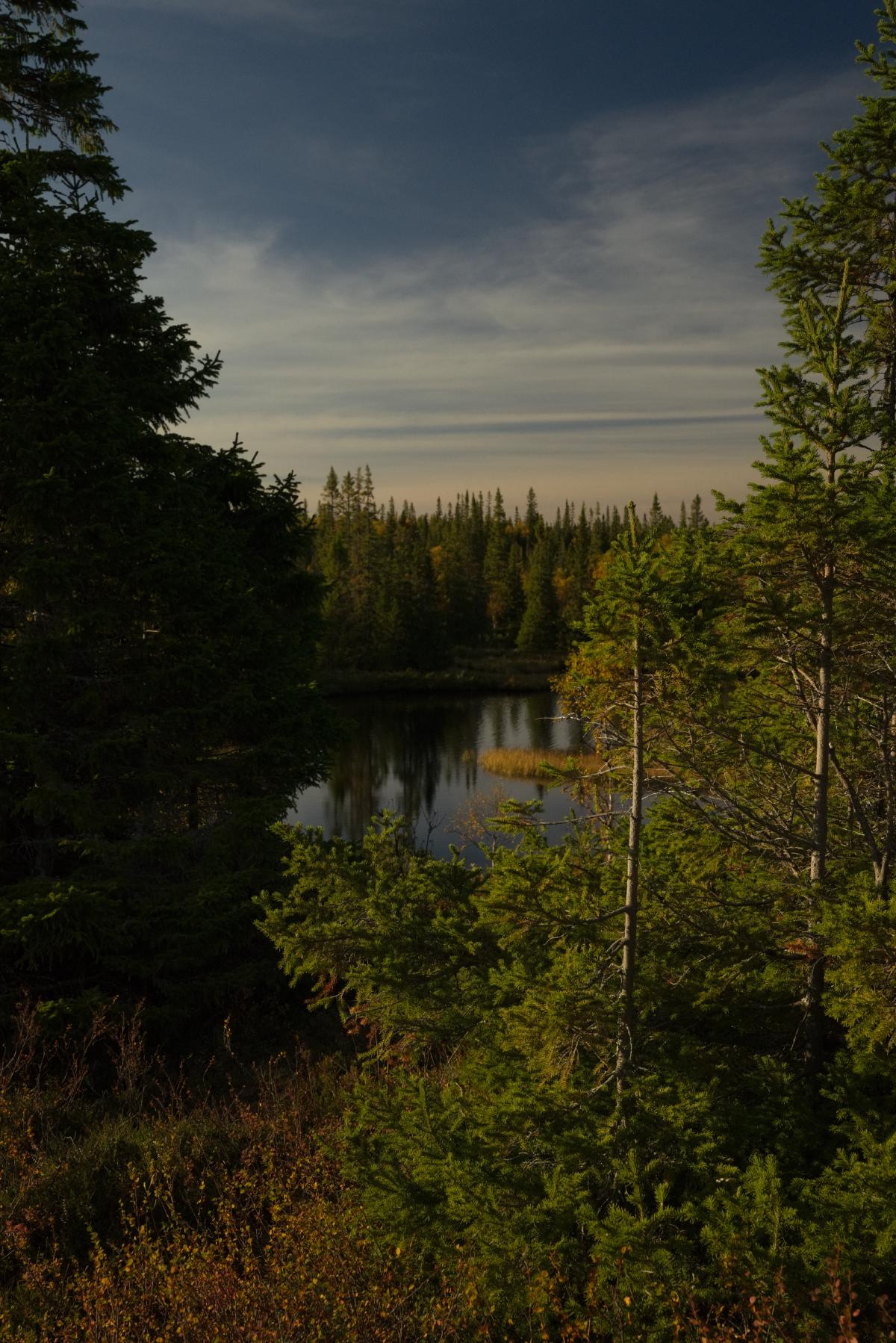 DSC09629.jpg