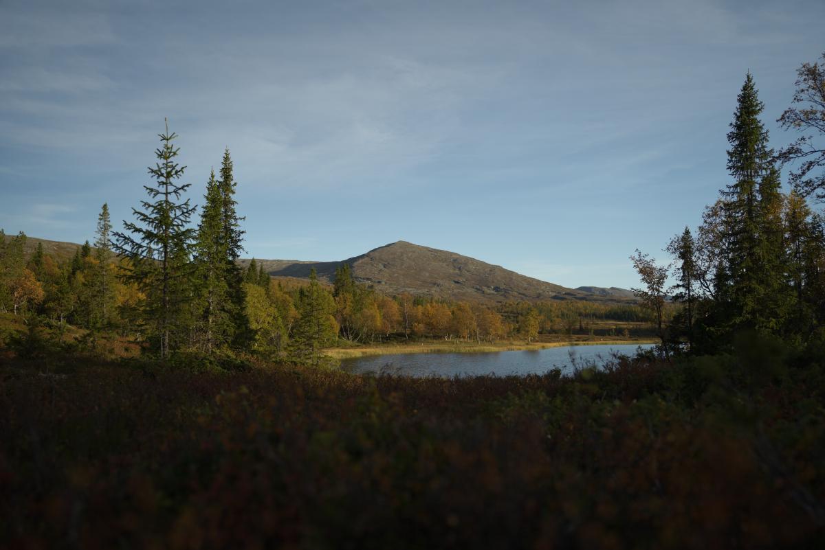 DSC09640.jpg
