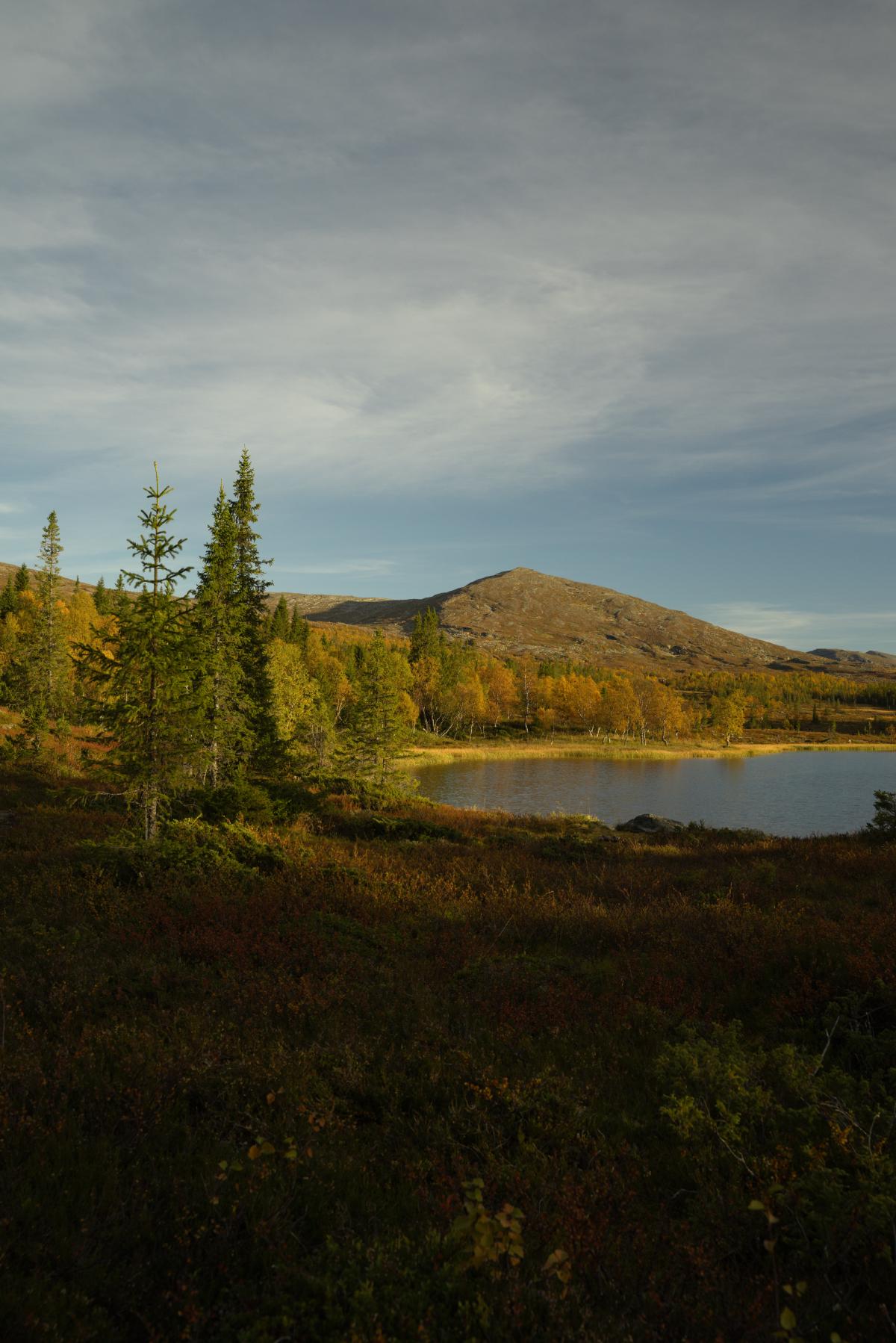 DSC09642.jpg