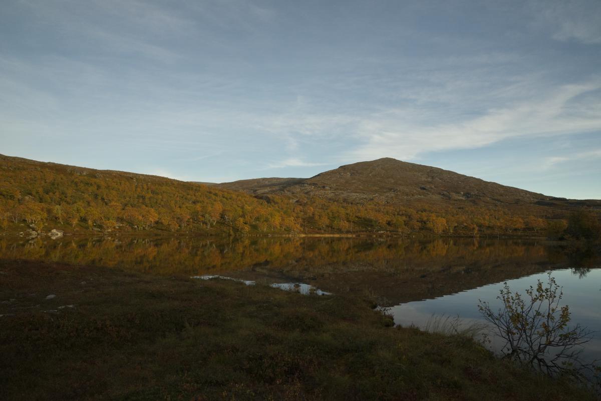 DSC09645.jpg