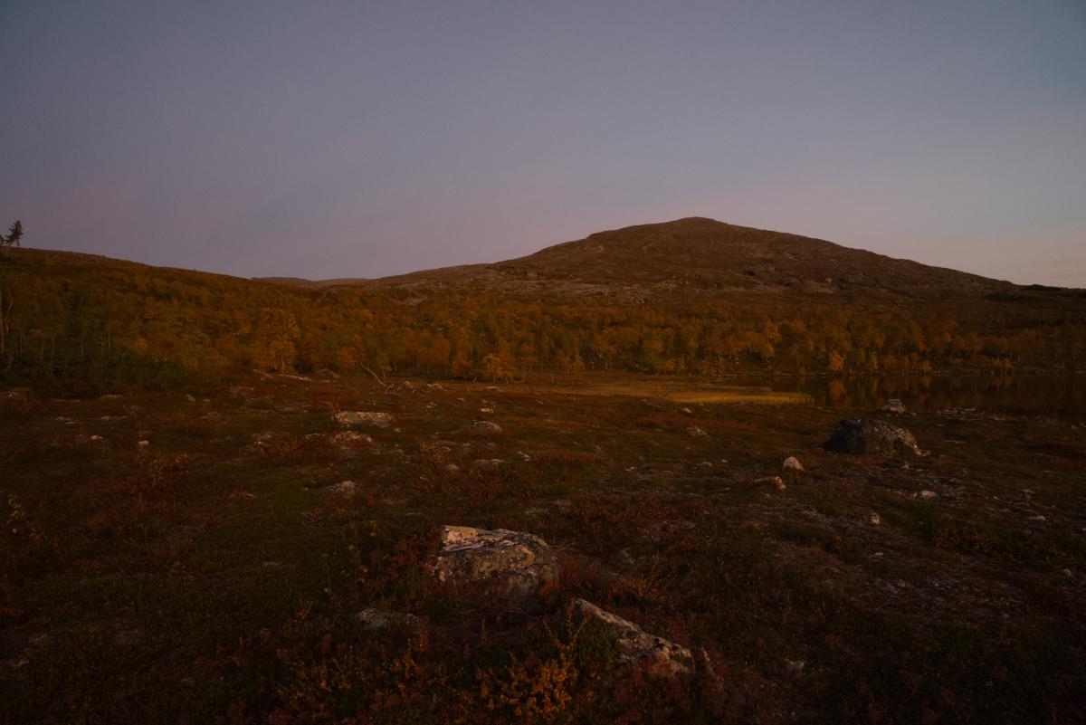 DSC09654.jpg