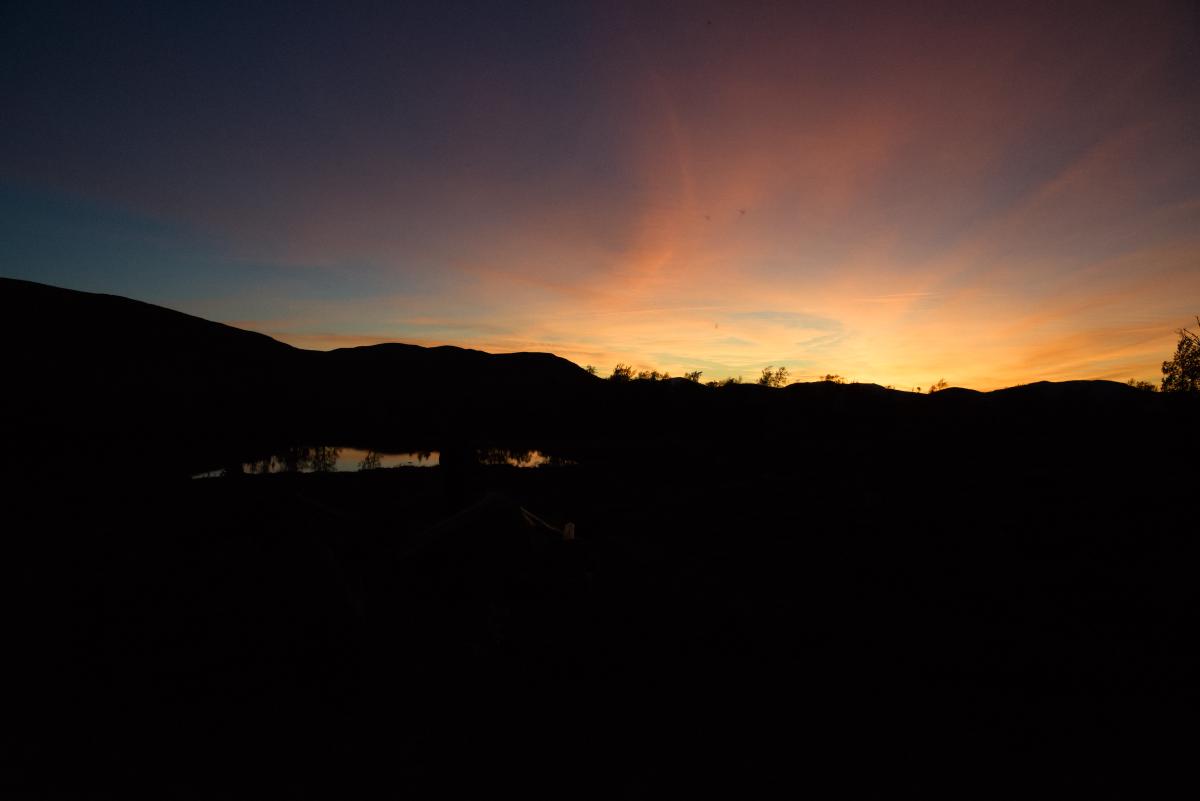 DSC09655.jpg