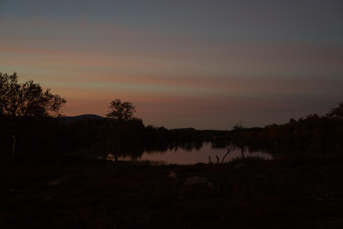DSC09657.jpg