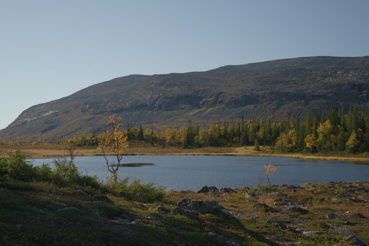 DSC09676.jpg